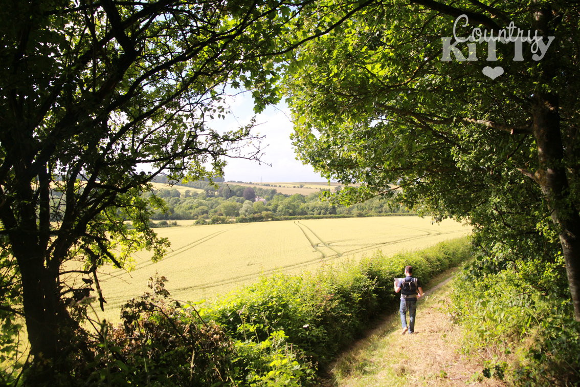 Summer Wiltshire walk