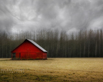 photography art photography art