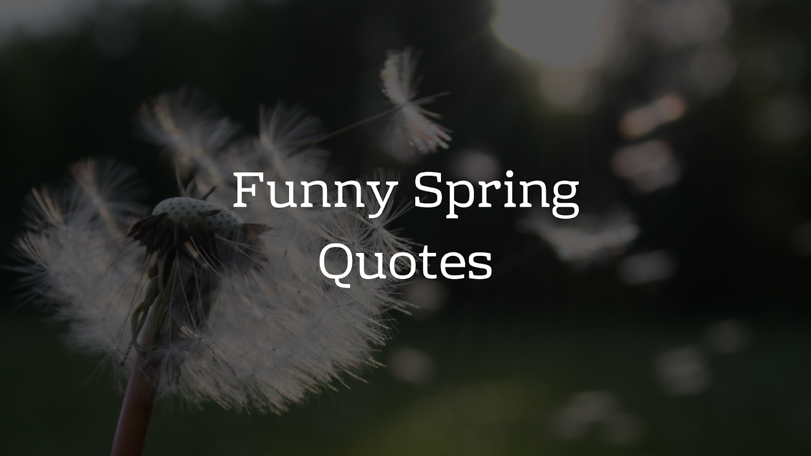 18+ Spring Hd Wallpaper Quotes  Basty Wallpaper