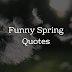 Funny Spring Quotes - Brain Hack Quotes