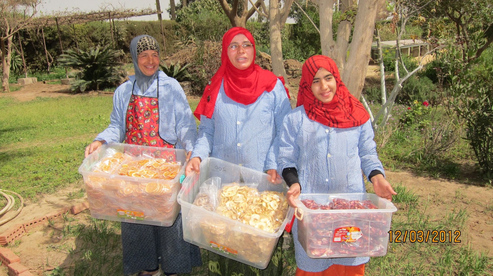 Cut and Dried... Minnie's Dried Fruits & Vegetables About Minnie's