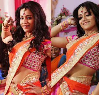 Trisha Krishan Sexy Naval In Saree Slip Trisha Naval photos in Saree