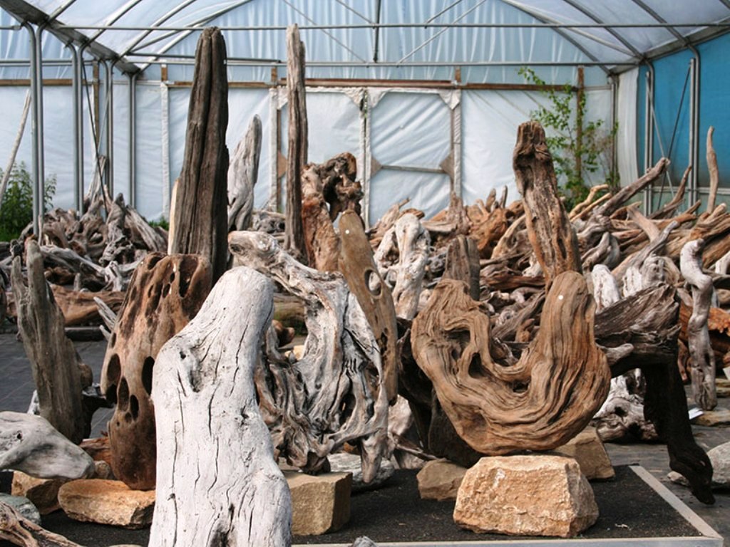 driftwood sculpture ideas craft ideas and art projects