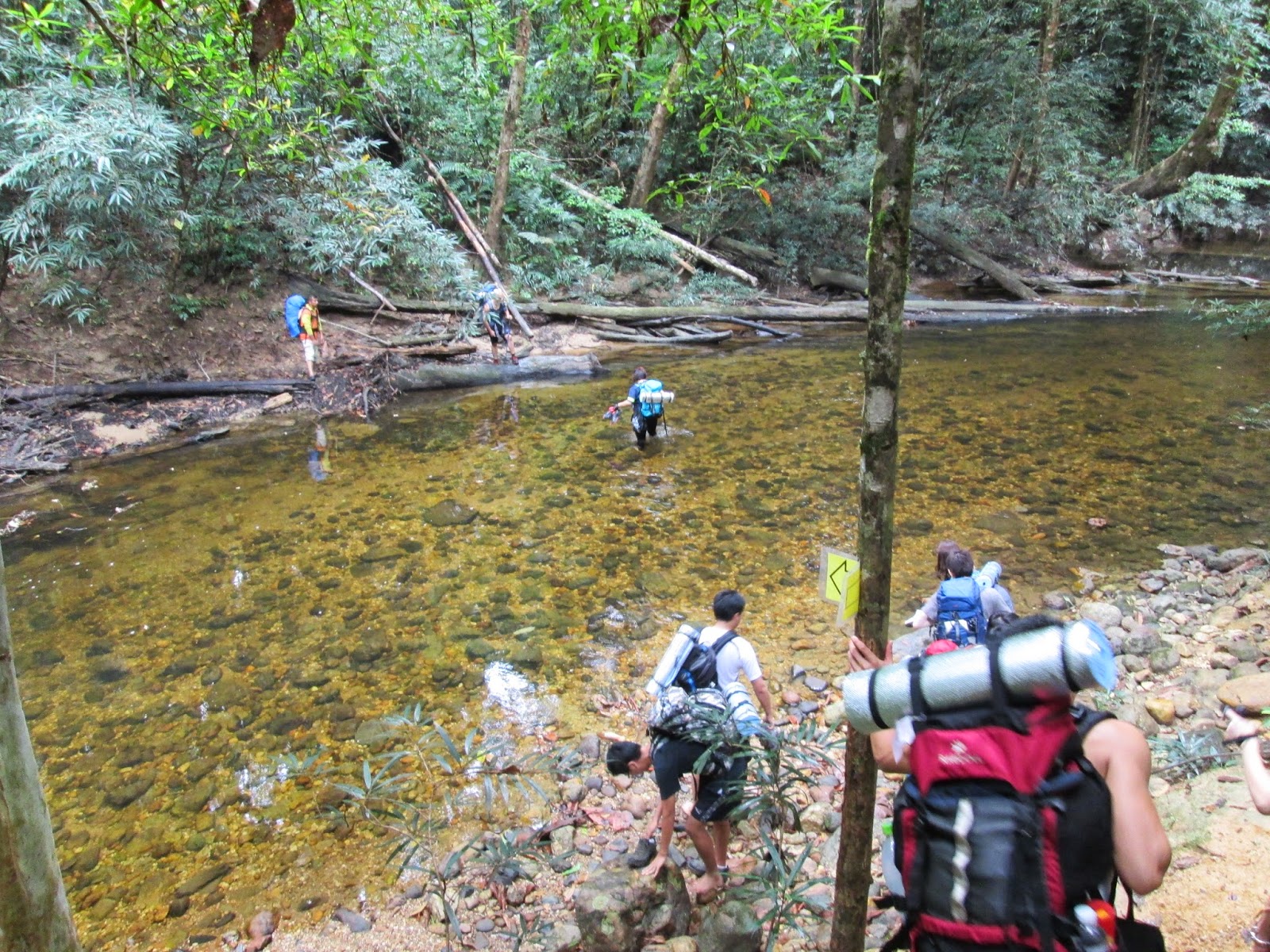 Hiking and Stuff: Gunung Tahan via Merapoh