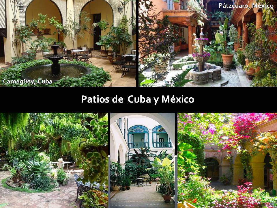 México a través de la mirada de una cubana El Patio de mi Casa...