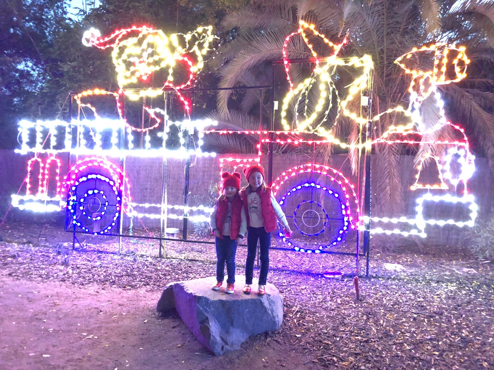 The Foreman Five Fresno Chaffee Zoo's Zoolights