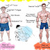 Raise Your Testosterone Levels With These Superfoods