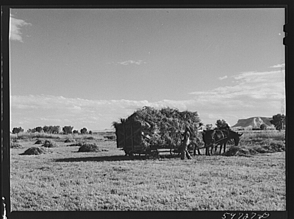 Stacking Hay Nebraska 1941 Big Picture Agriculture