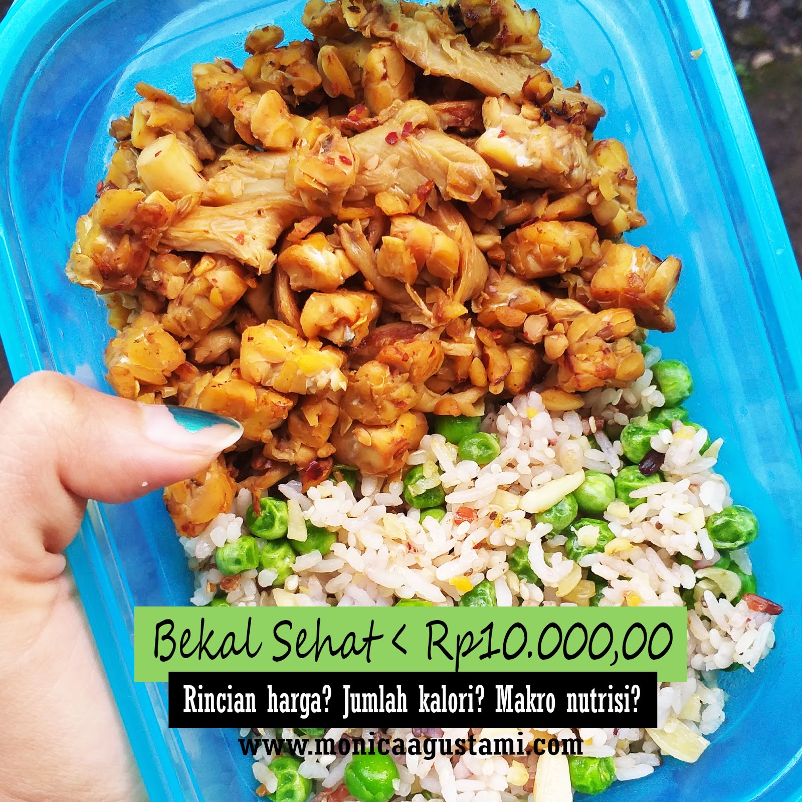 Healthy On A Budget Menu Makan Sehat Dengan Budget Di Bawah 10 Ribu Monica Agustami
