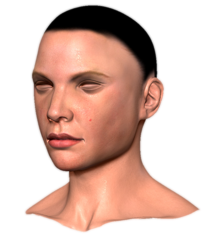 shaderek+(1).jpg