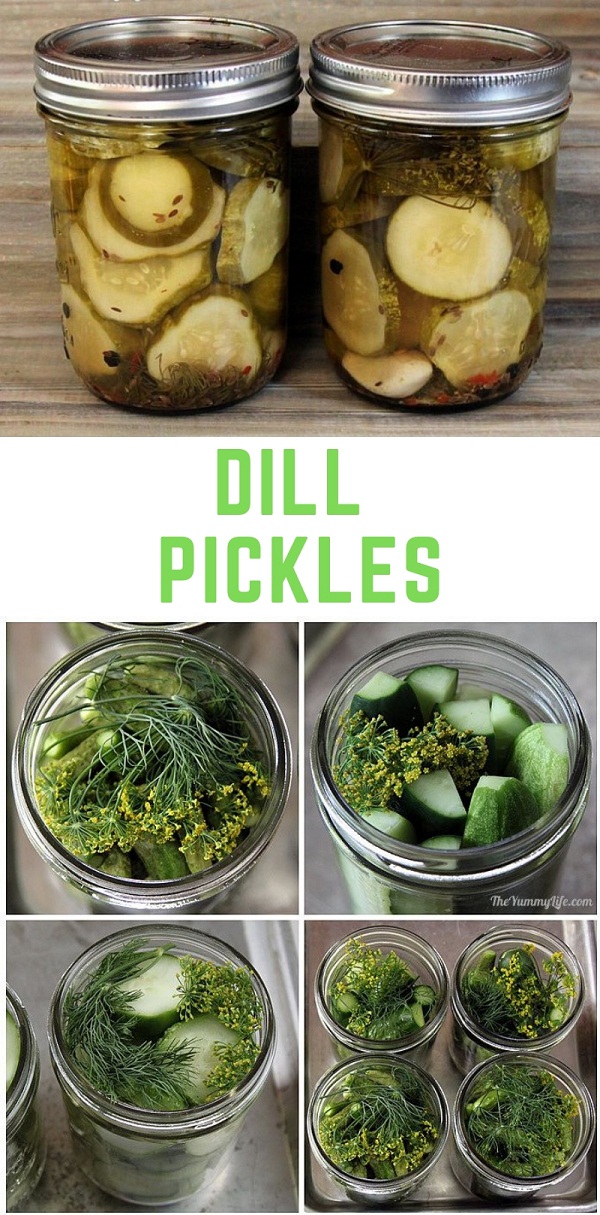 Dill Pickles Dill Pickles