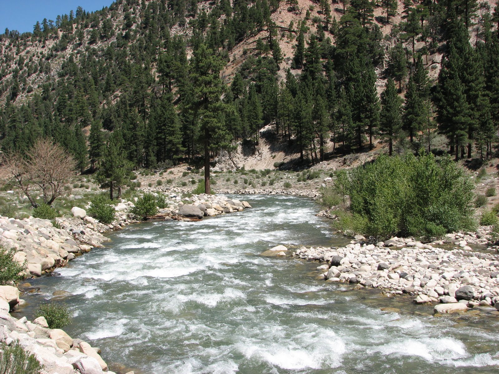 TRAVELS WITH BILL Lee Vining, CA