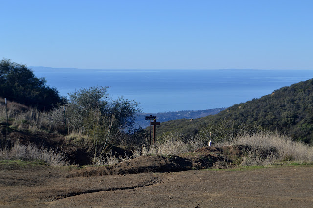 top of Cold Spring