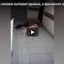 В Рязани медики бросили на полу истекающего кровью мужчину(ВИДЕО)