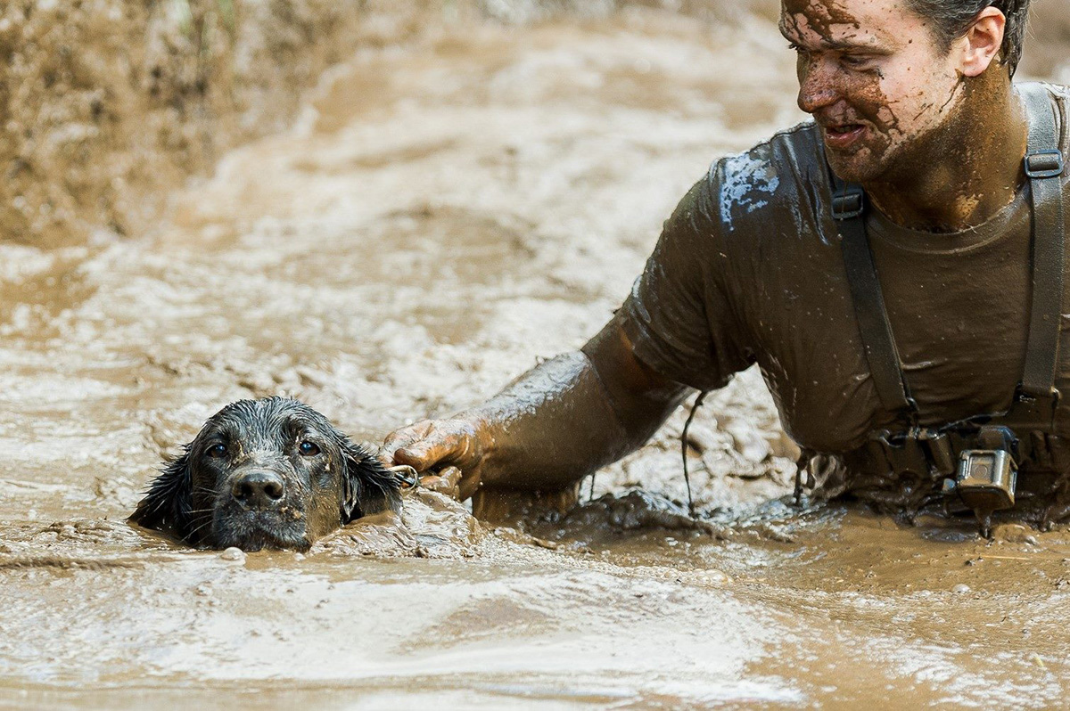 Muddy Paws Challenge South West Mudfest July 7 Australian Dog Lover
