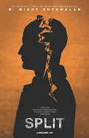 Split Múltiple poster cartel