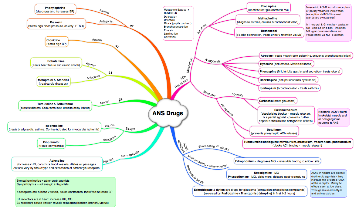 Antibiotics, Antifungal and ANS Drugs Mind maps