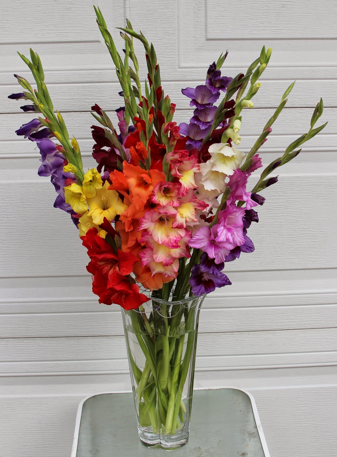 GLADIOLAS IN SUMMER FLORAL ARRANGEMENTS Sowing the Seeds
