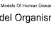 Model Organism - Animal Models Of Human Disease