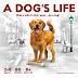 A Dog's Life Kickstarter Preview