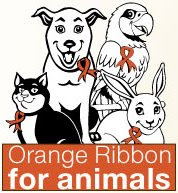 Foxy's World: April is Animal Abuse Awareness Month (USA)