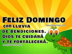 Feliz Domingo Imágenes y Frases cristianas Bonitas