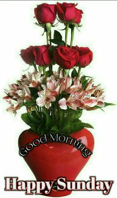 HAPPY SUNDAY HAPPY SUNDAY