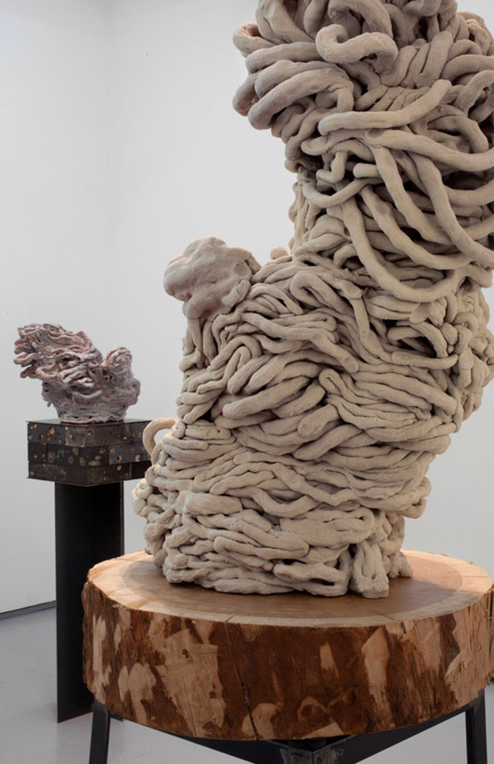 Arlene Schechet