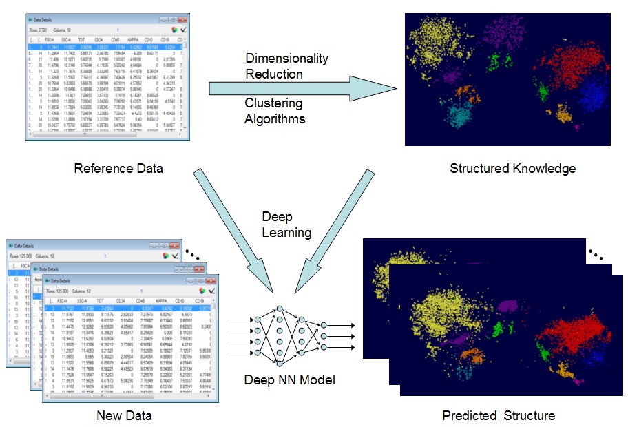 Visualizing High Dimensional Data Deep Data Profile with VisuMap
