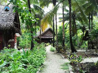 Paket wisata Murah Ke Pulau Mentawai 