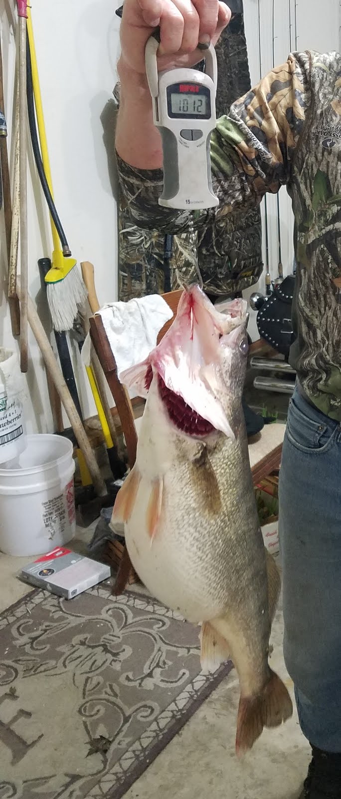 10 lb 12 oz, 28 1/2" caught by me on April 12, 2017