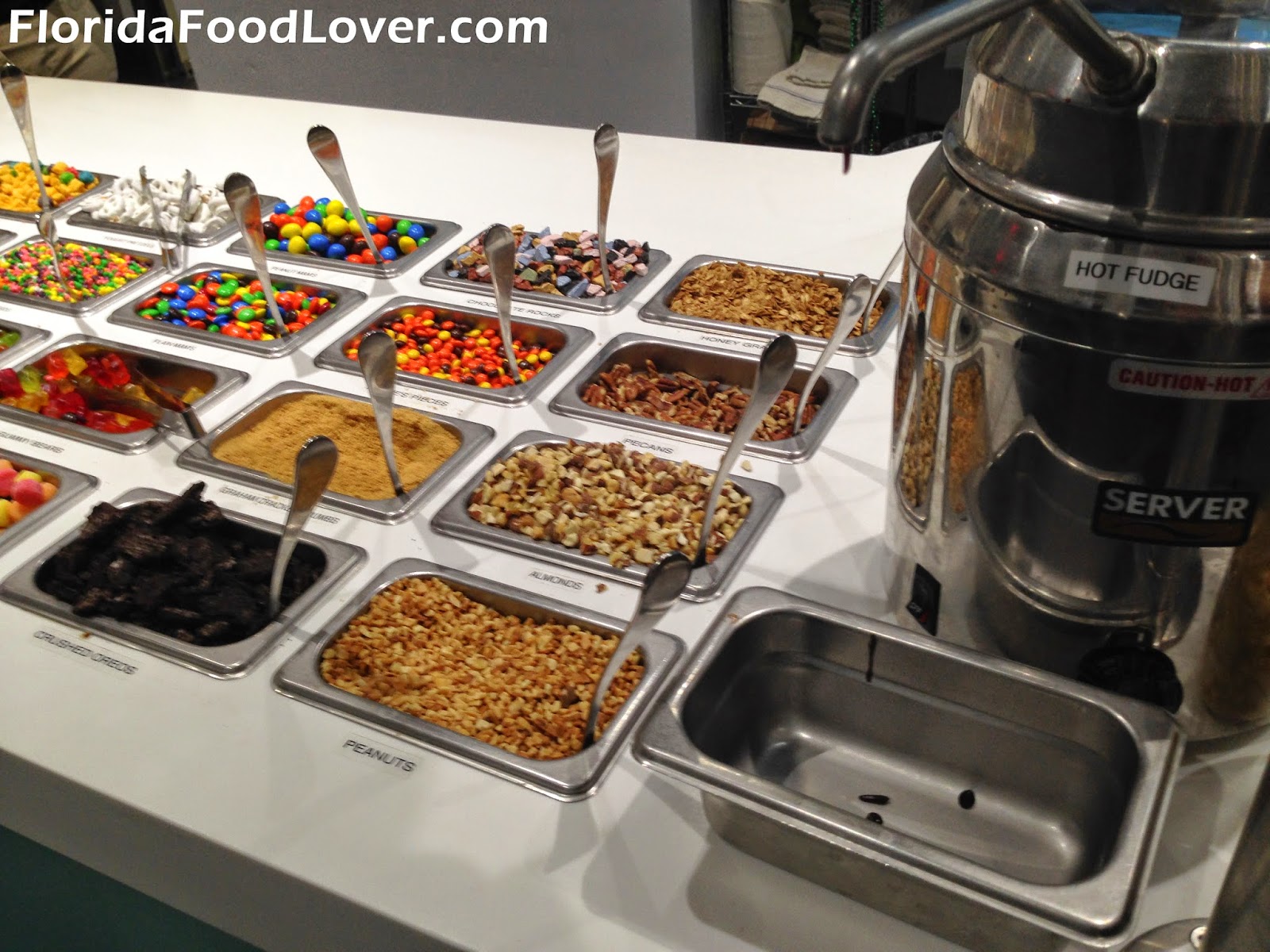 Florida Food Lover Yogurtology Tampa, FL