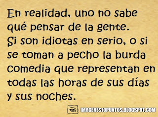 frases para idiotas frases para idiotas