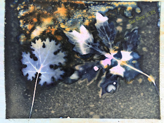 Wet cyanotype_Sue Reno_Image 332