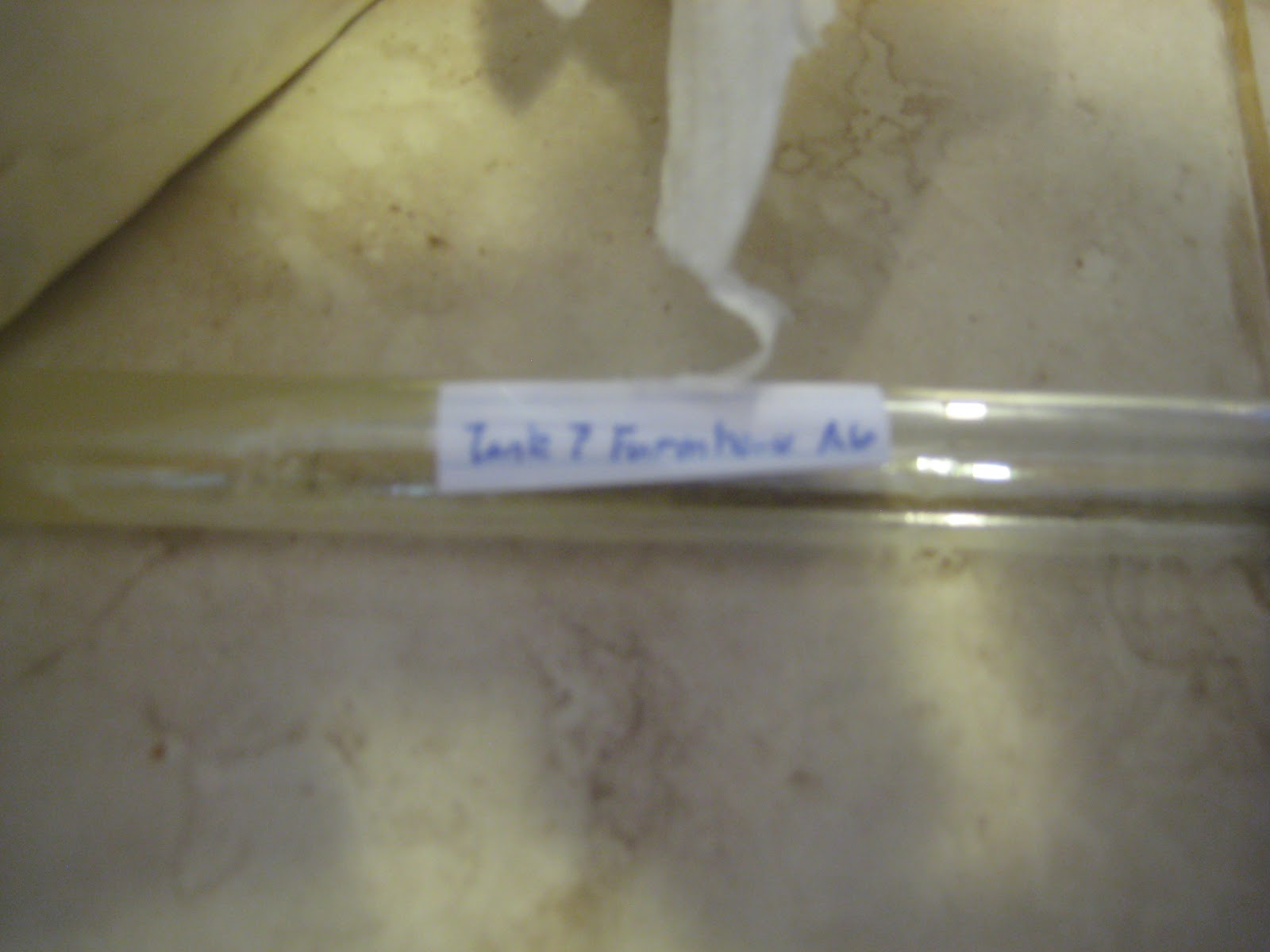 Microbe Brewer Harvesting Yeast for the Bottle