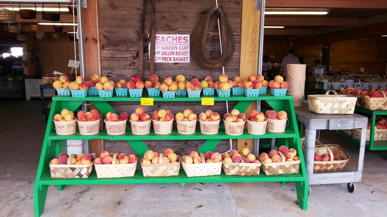 Lake Sidney Lanier Homes Blog In Search Of Fresh Produce And Farm