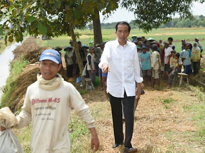 Presiden JOKOWI Bersama Petani di Desa Luwunggede Kersana Brebes