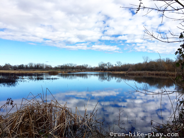 Cosumnes River Preserve