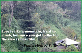 love and mountain comparison quote