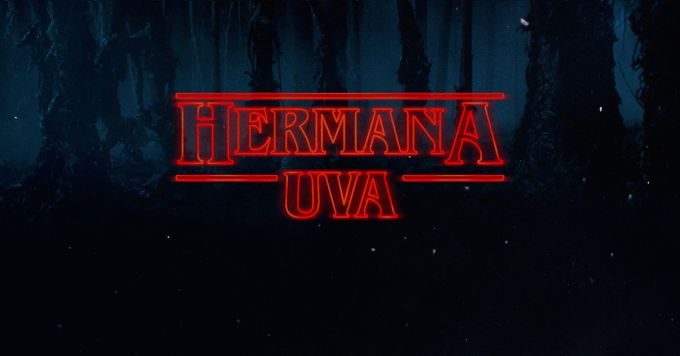 la hermandad de la uva