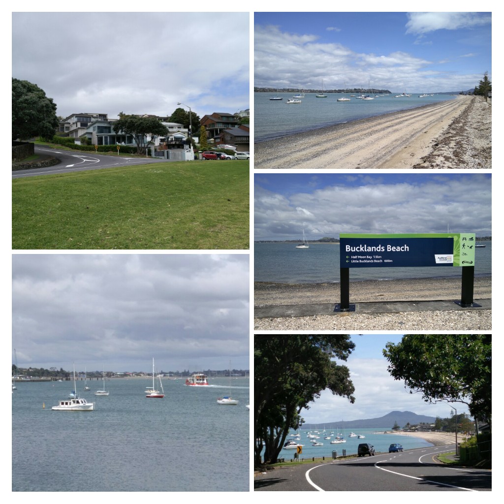Vivre Auckland Bucklands Beach Musick Point Eastern Beach