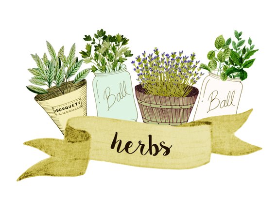 Herbs for the Stillroom
