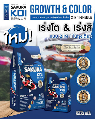 อาหารปลาคาร์ฟ Sakura Koi สูตรเร่งโต-เร่งสี 2in1 (ถุงน้ำเงิน/ฟ้า) Growth&Color formula