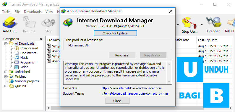 Download manager расширение. Internet download Manager расширение для Chrome. Internet download Manager 6.41 jpg Bright.