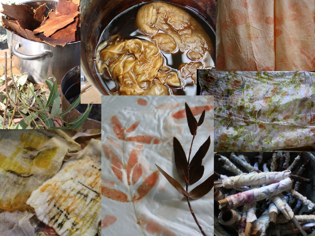 Gina Mastio Eco dye course in Sydney