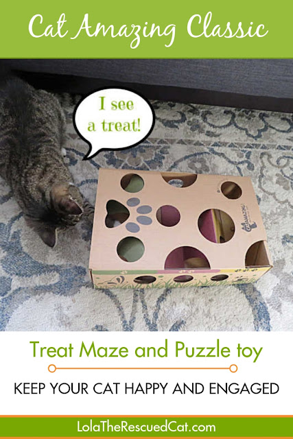 Cat Amazing|puzzle feeders