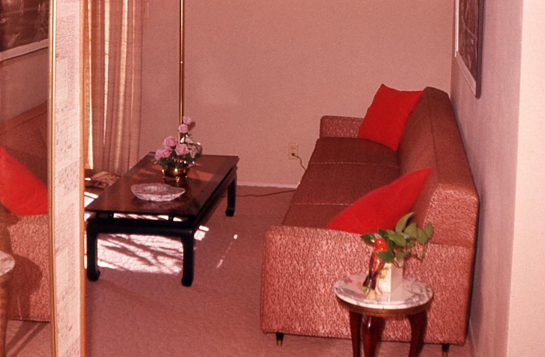 Neato Coolville OPEN HOUSE AT THE GRESHAM'S A MIDCENTURY TOUR