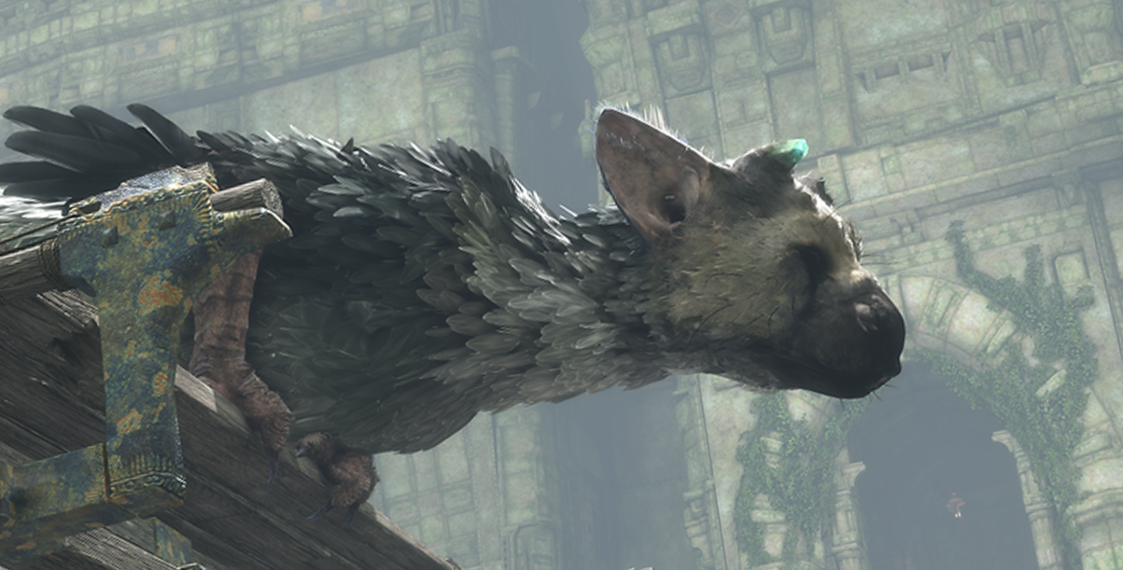 TRICO.png