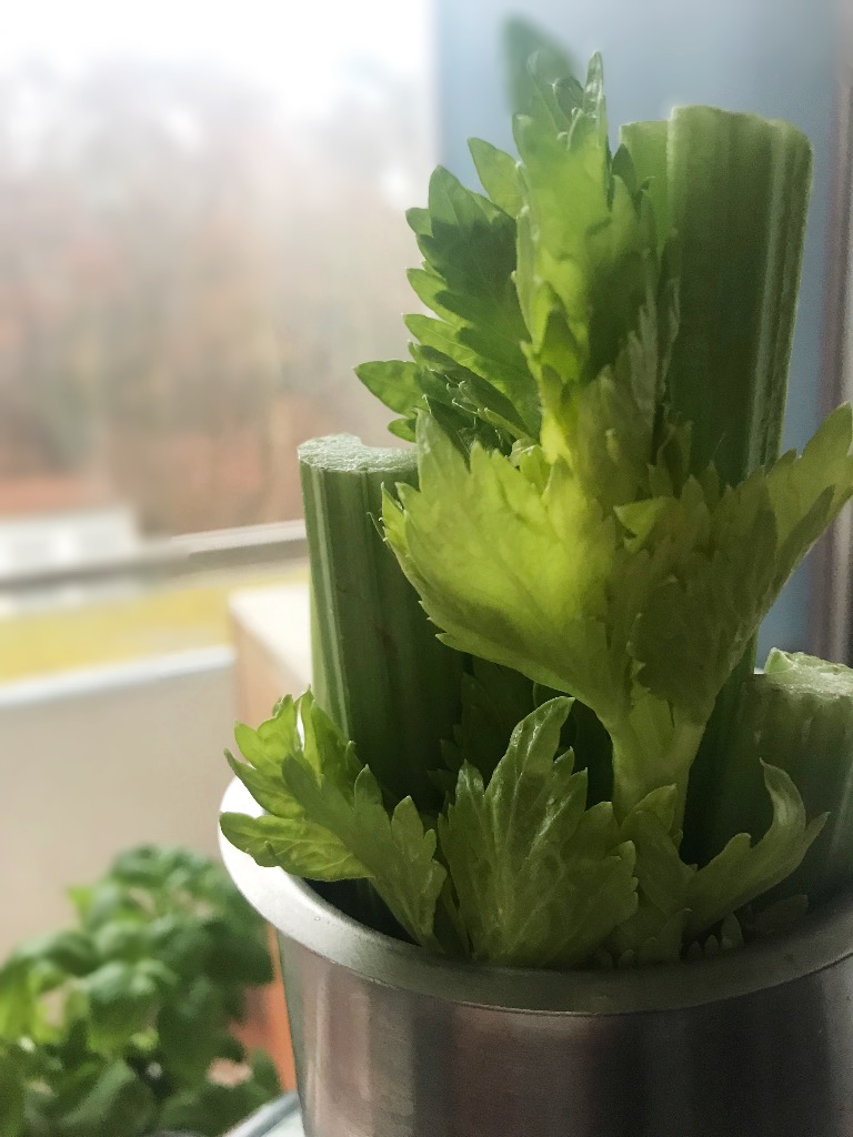 Celery Juice Challenge!