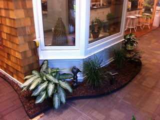 interior office plants; interior landscapers;greenery;inside /outsideplants;